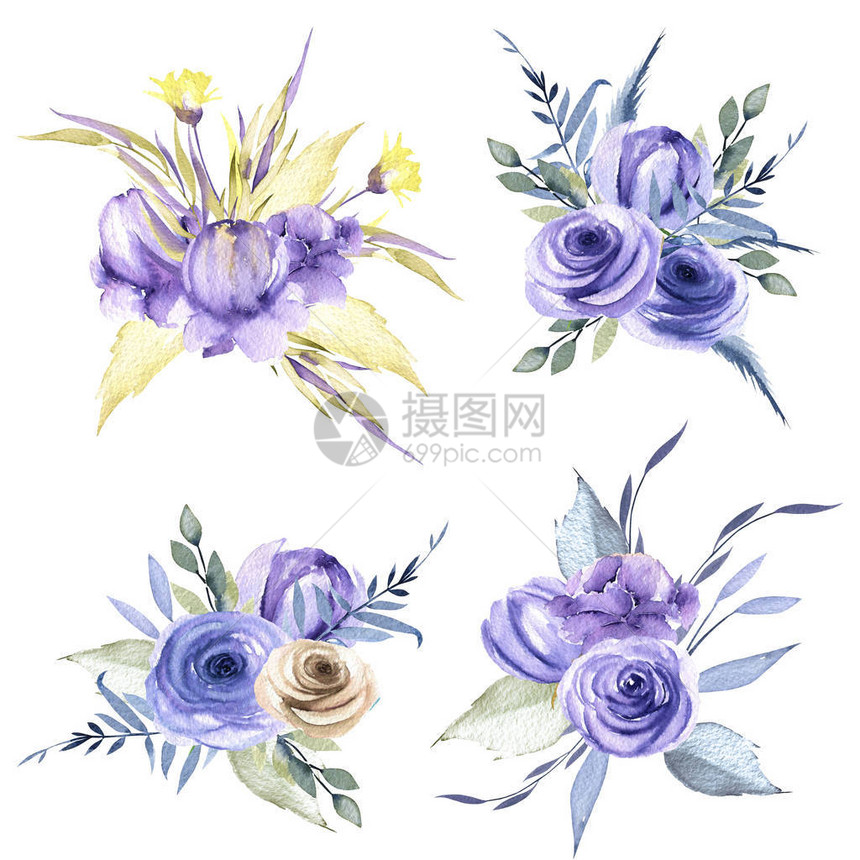 水彩蓝色玫瑰花和植物花束用白色背景图片