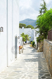希腊的白色建筑物和树木与白色建筑物相图片