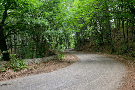 夏季乡村公路阳图片