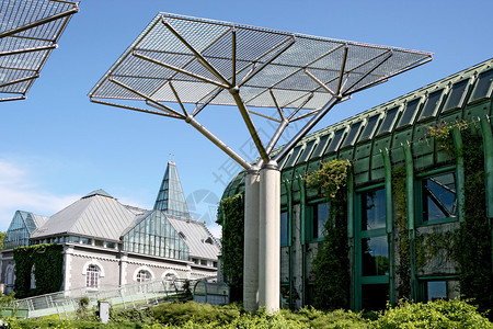 现代生态建筑华沙大学图书馆图片