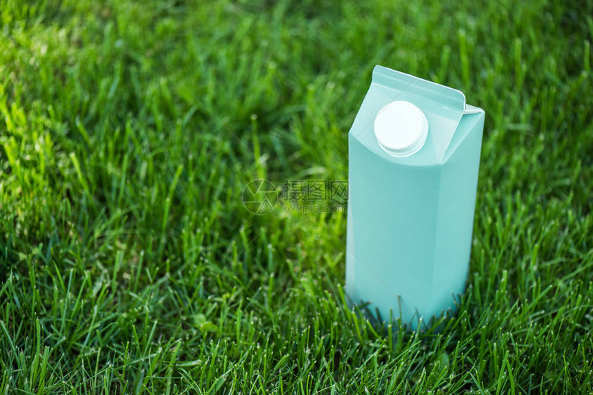绿色草坪上空白蓝牛奶图片