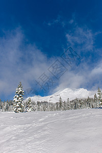 加利福尼亚山雪图片