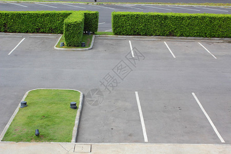 停车场和绿树图片