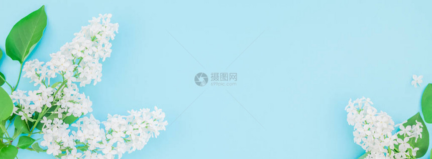 以最小样式字母模板文本或设计格式复制空间的蓝色面纸背景上的白硅花朵创意平板固定图片