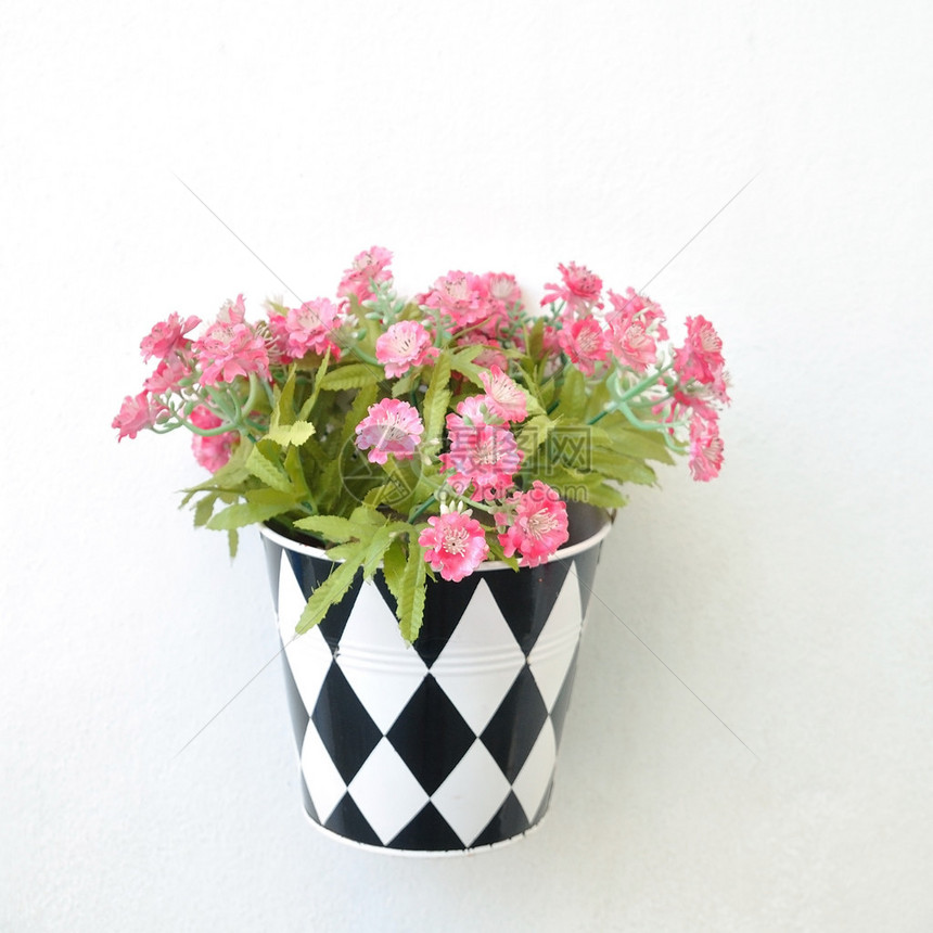 挂在墙上的现代花盆用于房屋装饰图片