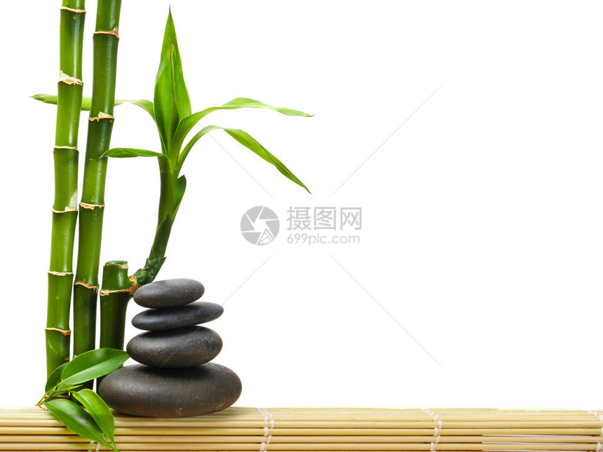 锌石和竹子图片
