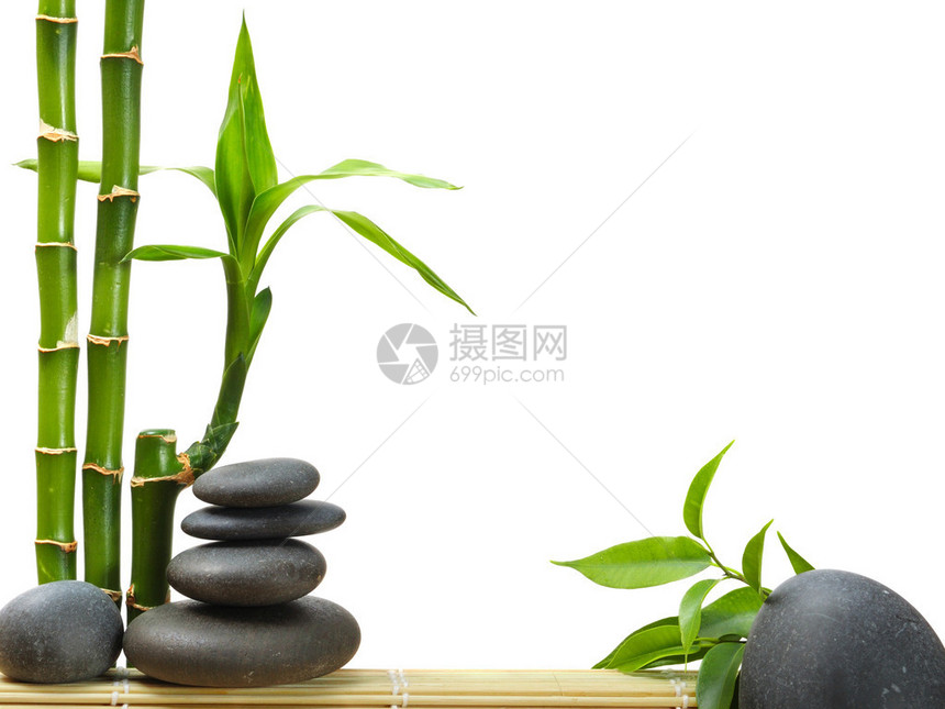 锌石和竹子图片