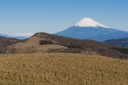 冬季雪峰富士山的景色图片