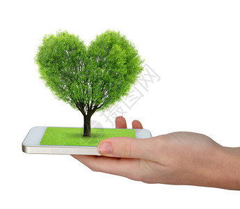手持智能手机和树图片