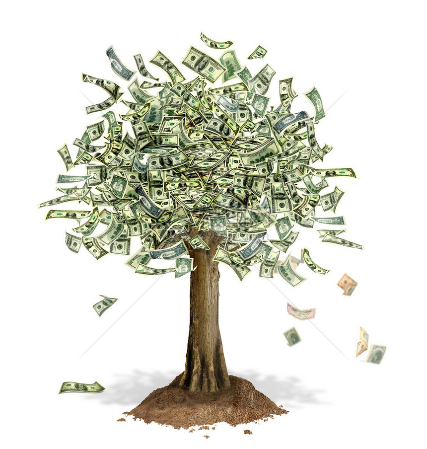 用美元钞票代替叶子的货币树图片