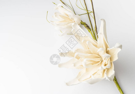 美丽的春花白色背景的假花婚礼背景图图片