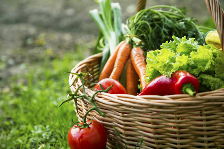 新鲜的有机蔬菜篮子当地食物从图片