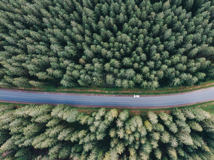 沿潮湿道路在山上看到不断的绿林图片