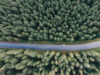 沿潮湿道路在山上看到不断的绿林背景图片