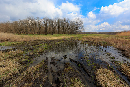 春天草原被淹的泥路图片