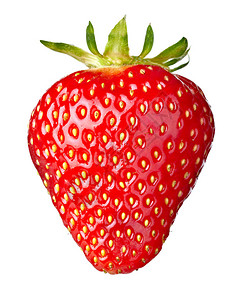 白色背景的草莓关闭图片