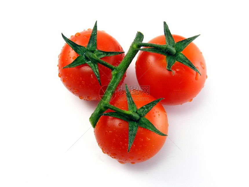 白色背景中带茎叶的湿新鲜番茄图片