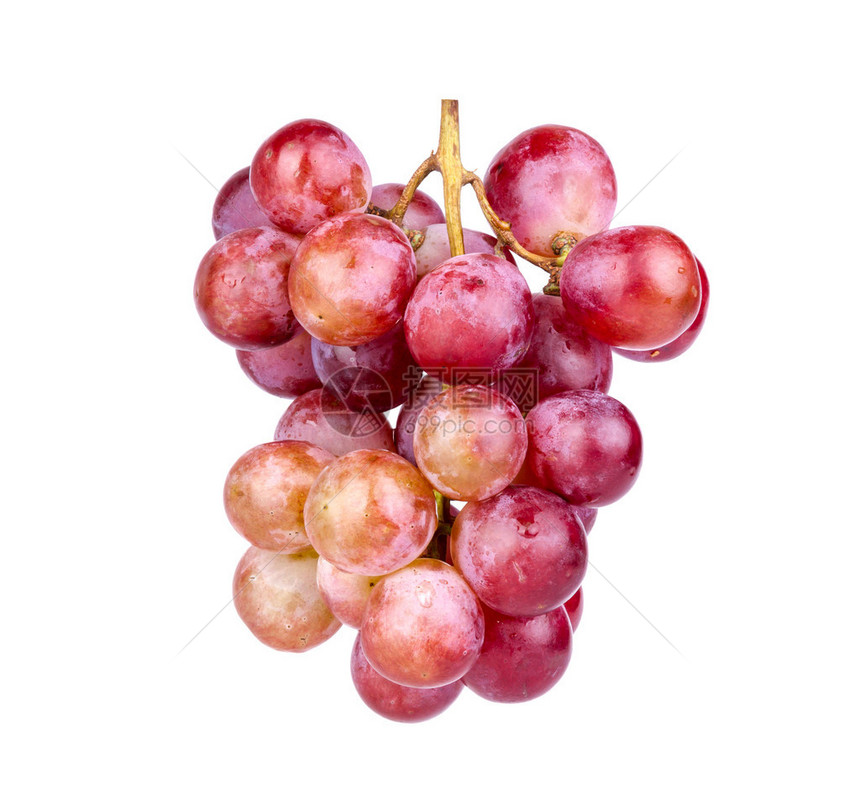 束在白色背景上的红葡萄图片