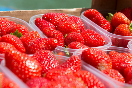 红鲜草莓盒图片