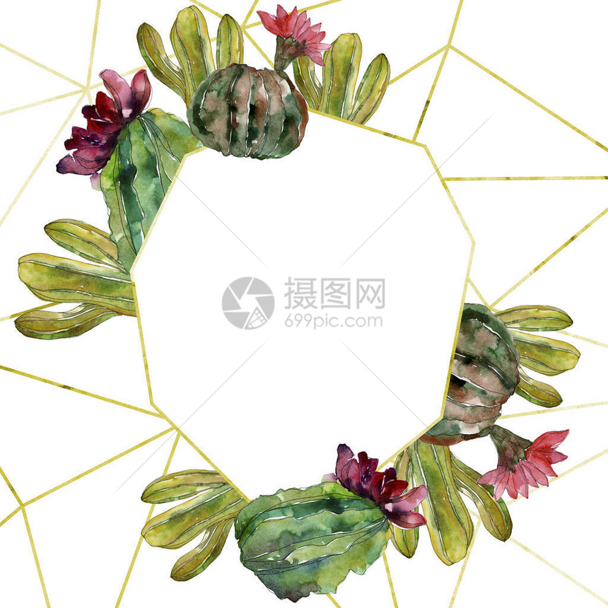 绿色仙人掌花卉植物花孤立的野生春叶野花水彩背景插图集水彩画时尚水彩画框架图片