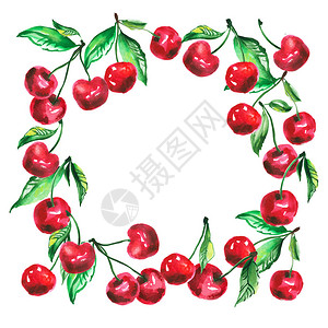 红樱桃框架图水彩艺术品图片