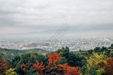 日本京都富美因纳里神庙的云天下的京都图片