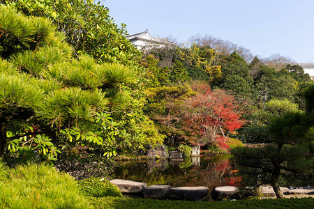 有红枫树的日本花园高清图片