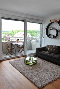 舒适家居：客厅沙发、地毯和壁挂家具的完美搭配图片