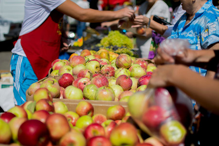 苹果盒农民市场上顾客的手KrasnodarskiKra图片