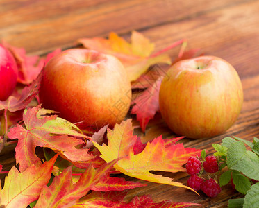 红成熟苹果有浆果的草莓枝和多彩的秋色叶树图片