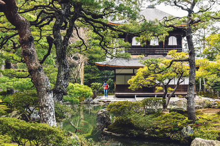 日本京都银幕寺银殿宫公园的单图片