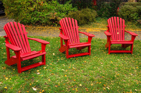 Adirondack三张红会长在一片草地上背景图片