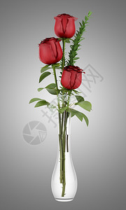 三朵红玫瑰玻璃花瓶中背景图片