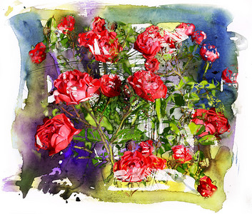 玫瑰水彩色和混合图片