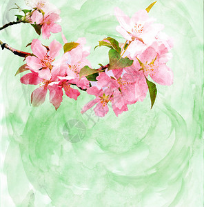 春天树木开花水彩插图图片