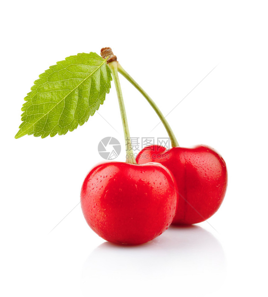 红樱桃莓绿色叶子白背景图片