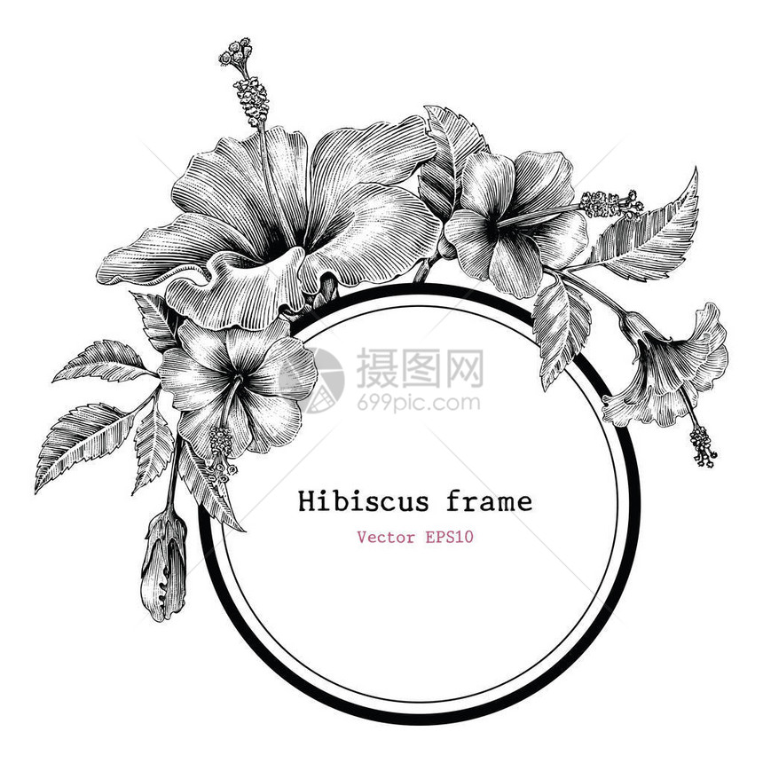 Hibiscus花架手绘图片