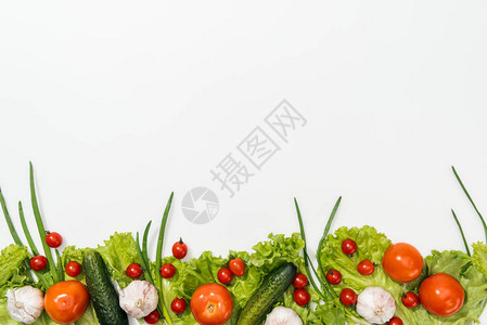 番茄生菜叶黄瓜洋葱和大图片