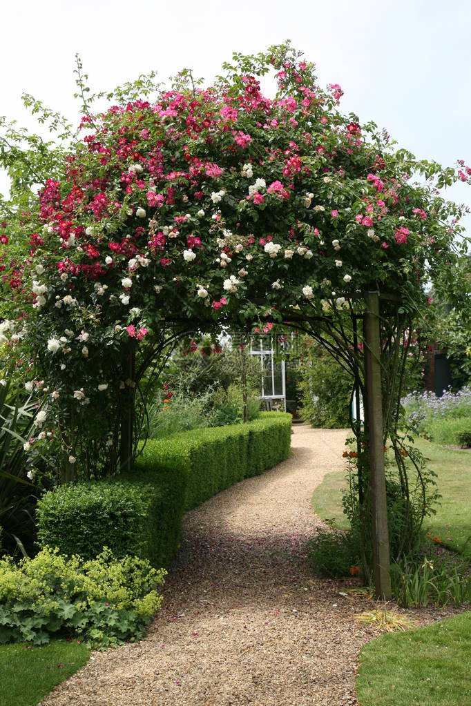 美丽的玫瑰拱门在英国图片