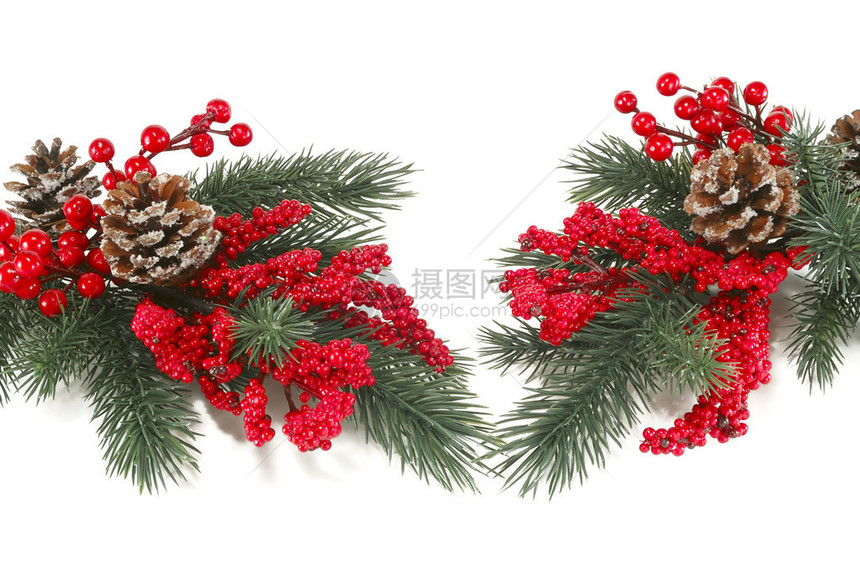 用红色浆果组成的圣诞树枝图片