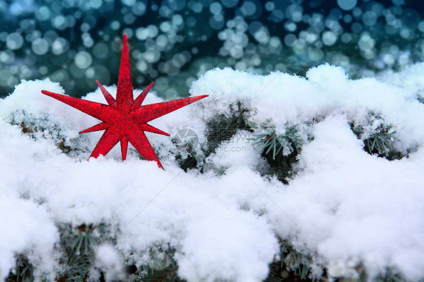 雪花树枝和圣诞红星在雪上圣诞图片