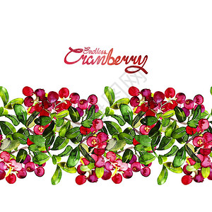 水彩cranberry无尽边界图片