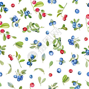 水彩crancraanberry和蓝莓无缝图案图片