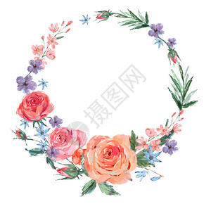粉红玫瑰叶盛开的枝条花朵和野花的复古花环图片