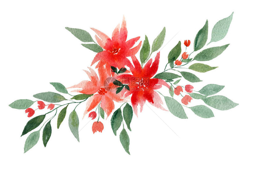 白上隔绝的水彩花束有红花和橙花的朵设计图片