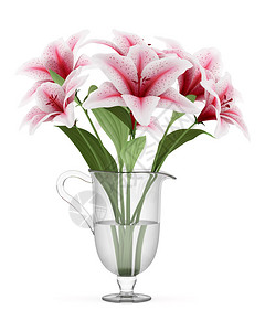 在白色背景上孤立的花瓶中的粉红色百合花束图片