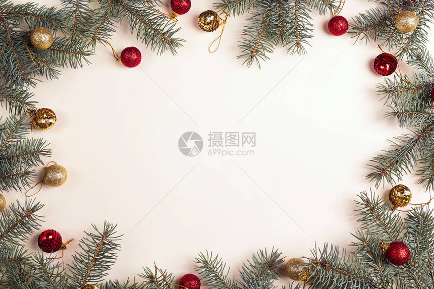 绿色圣诞fir树枝图片