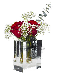 玻璃箱中的红玫瑰以纯白色背景粉红图片