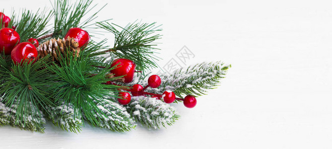 圣诞节庆装饰配有fir树枝雪和红莓图片