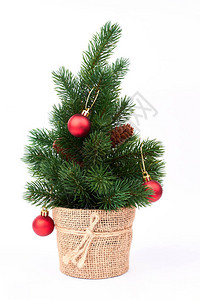 用红球装饰圣诞树在粗麻布的小绿色圣诞树装饰着白色上的红图片
